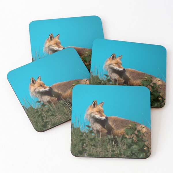 Item preview, Darting Red Fox Blue Sky Alaska Wildlife Photography designed and sold by Elwynn WildLight Photography.