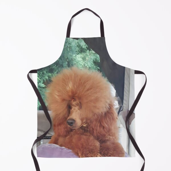 Item preview, Fluffy Red medium Poodle Groomed for Dog Show Resting on Velvet Cushion designed and sold by ivon55.