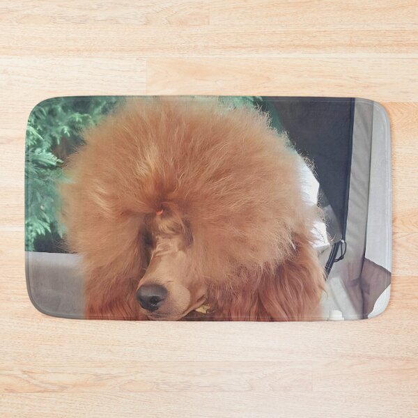 Item preview, Fluffy Red medium Poodle Groomed for Dog Show Resting on Velvet Cushion designed and sold by ivon55.