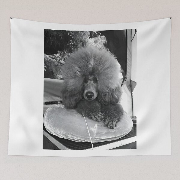 Item preview, Fluffy Red medium Poodle Groomed for Dog Show Resting on Velvet Cushion designed and sold by ivon55.