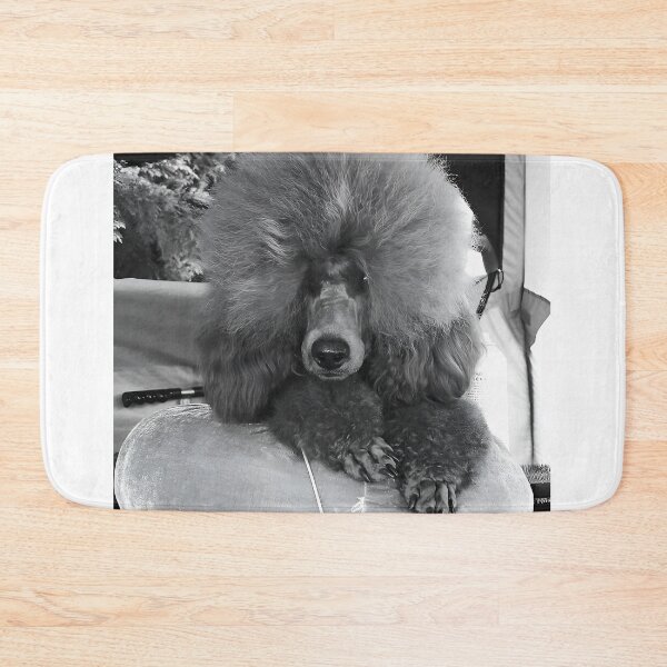 Item preview, Fluffy Red medium Poodle Groomed for Dog Show Resting on Velvet Cushion designed and sold by ivon55.