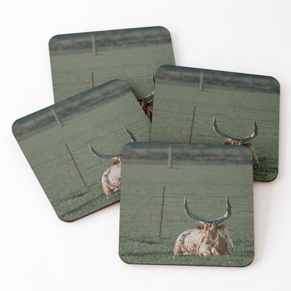 Item preview, Longhorn Bull Resting California Pasture Wildlife Photography designed and sold by Elwynn WildLight Photography.
