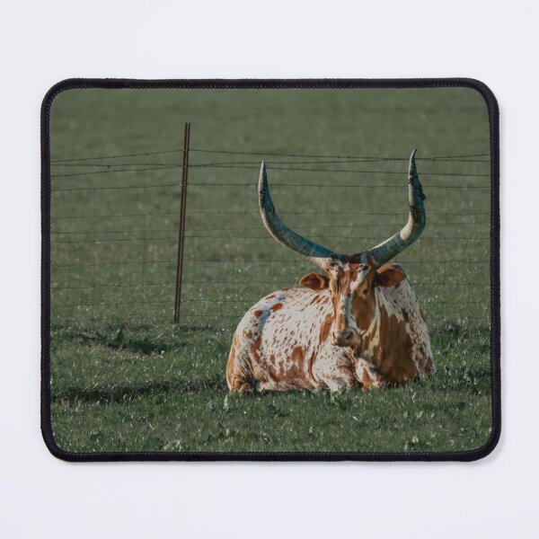 Item preview, Longhorn Bull Resting California Pasture Wildlife Photography designed and sold by Elwynn WildLight Photography.