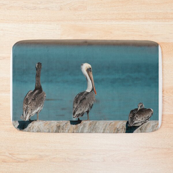 Item preview, Pelican Trio Surveying Coastline Bird Photography designed and sold by Elwynn WildLight Photography.