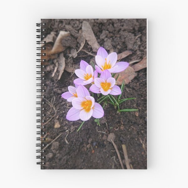 Item preview, Violet crocuses growing up  designed and sold by Enerjetal.