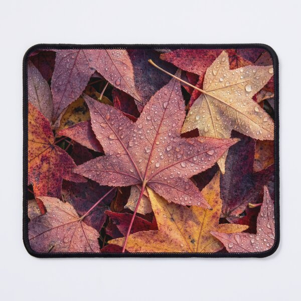 Item preview, Fallen Sweetgum Tree Leaves designed and sold by Tridentulus.