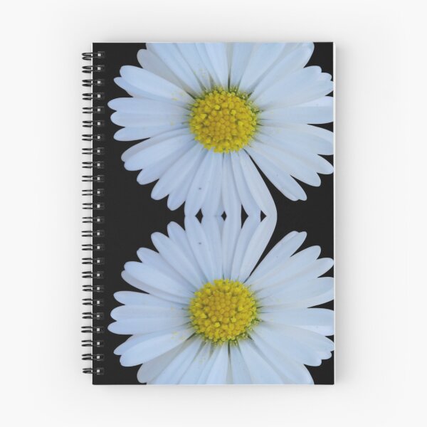 Aperçu de l'œuvre Daisy Duo on Black - Minimal Floral Contrast créée et vendue par SilentBloomLab.