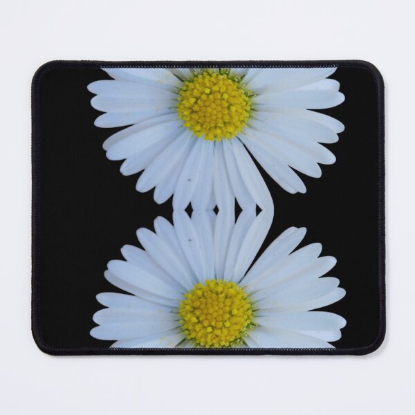 Item preview, Daisy Duo on Black - Minimal Floral Contrast designed and sold by SilentBloomLab.