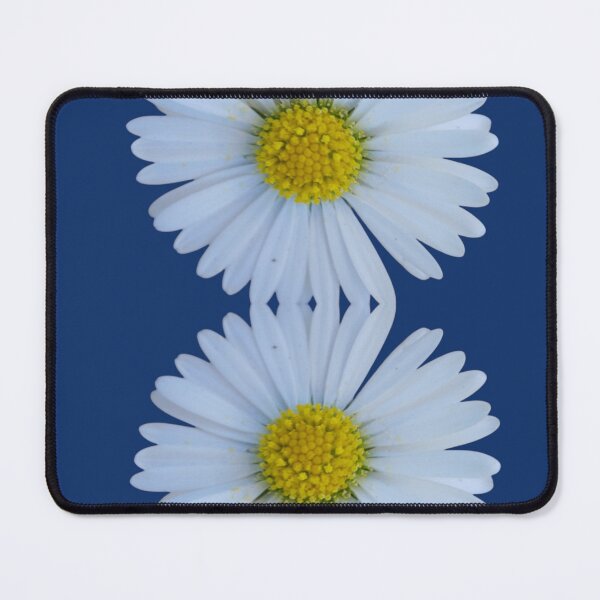 Item preview, Daisy Duo on Blue - Minimal Botanical Composition designed and sold by SilentBloomLab.