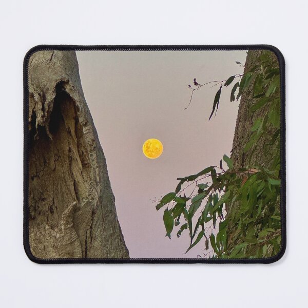 Item preview, Moon gums designed and sold by andy  king.