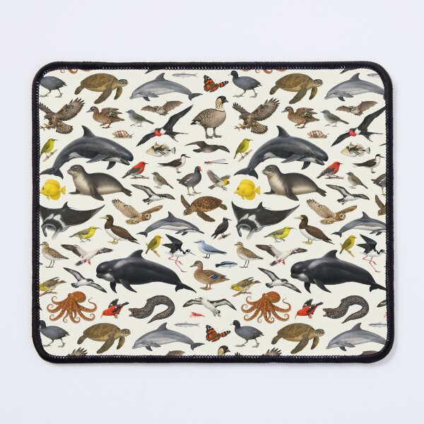 Item preview, Animals of Hawaii Retro Style Wildlife Identification Chart designed and sold by kakarikihill.