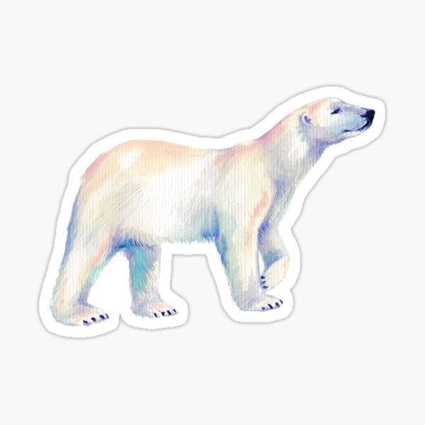 Ours polaire Sticker