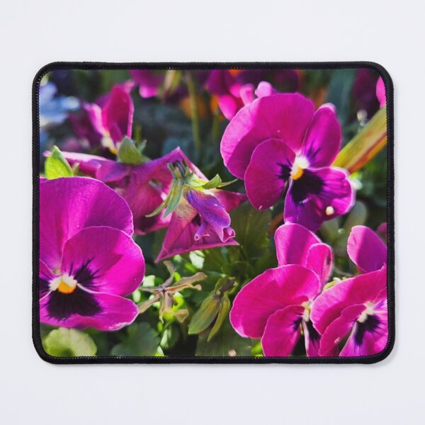 Item preview, Violets designed and sold by Courtney Croxall.
