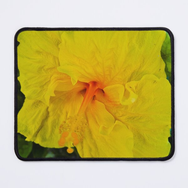 Item preview, Lovely Hibiscus Flower designed and sold by HemiShap.