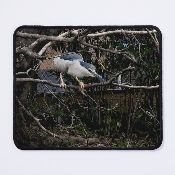 Item preview, Water Bird designed and sold by goodieg.