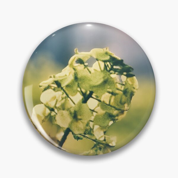 Item preview, Rapeseed designed and sold by goodieg.