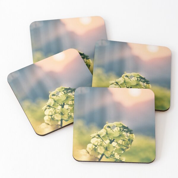 Item preview, Rapeseed designed and sold by goodieg.