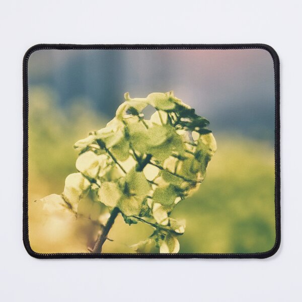 Item preview, Rapeseed designed and sold by goodieg.