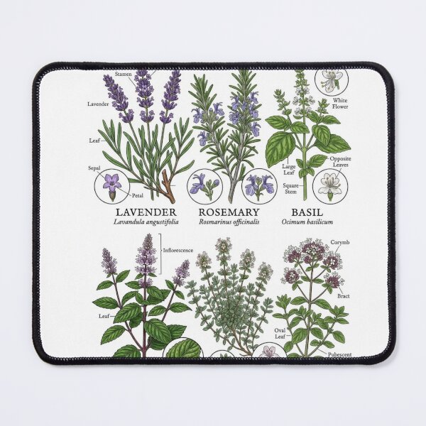 Item preview, Botanical Garden herbs designed and sold by Swanny's Custom T-shirt and Gift Designs.
