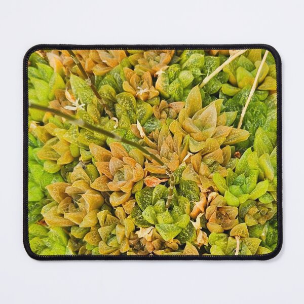 Item preview, Succulent  designed and sold by Courtney Croxall.