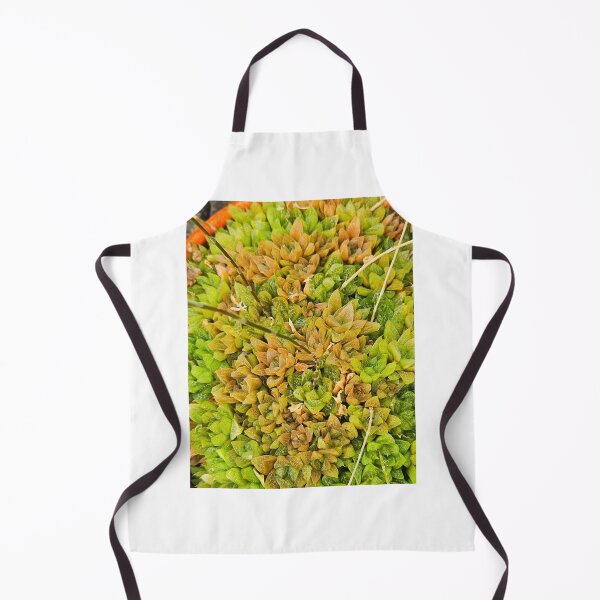 Item preview, Succulent  designed and sold by Courtney Croxall.