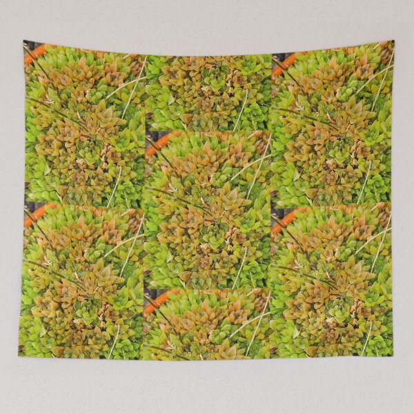 Item preview, Succulent  designed and sold by Courtney Croxall.