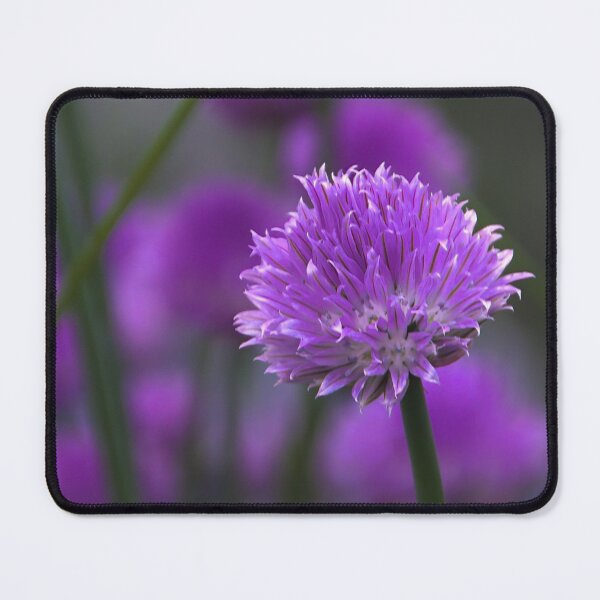 Item preview, Chive On designed and sold by vernonplatt.