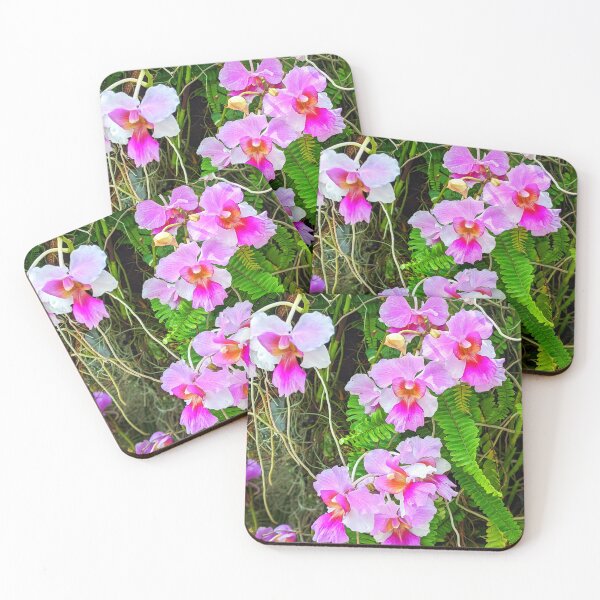 Item preview, Vanda Miss Joaquim Orchid, Pink Singapore Orchid, Princess Aloha Orchid Shapes Mania designed and sold by Shapes-Mania.