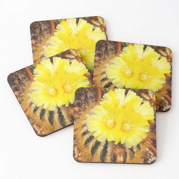 Item preview, Cactus bloom designed and sold by Courtney Croxall.
