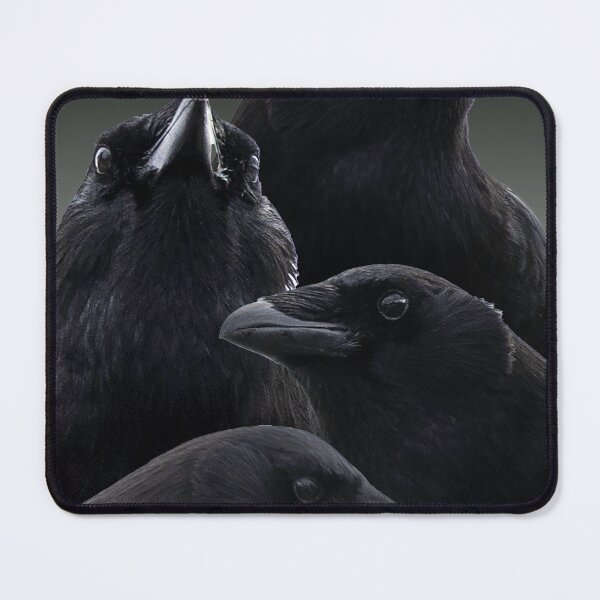 Item preview, Crow compilation designed and sold by Rod Raglin.