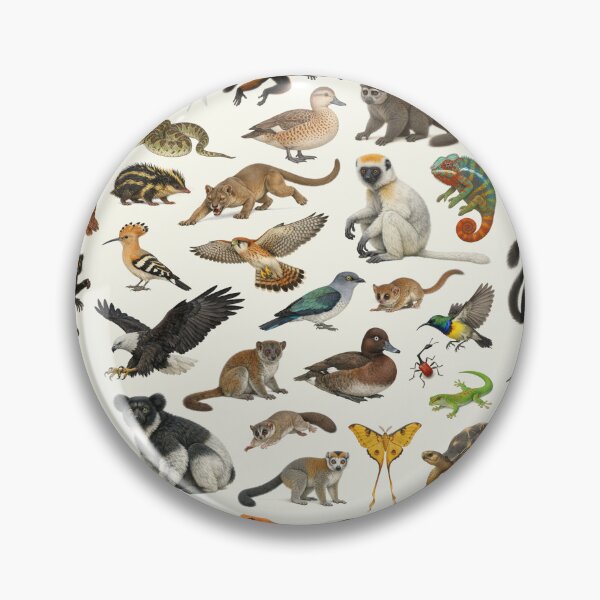 Item preview, Animals of Madagascar Retro Style Wildlife Identification Chart designed and sold by kakarikihill.