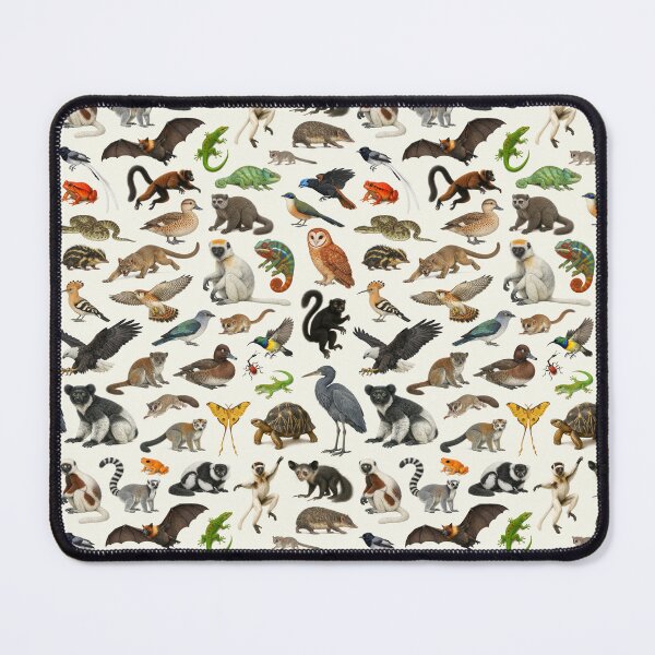 Item preview, Animals of Madagascar Retro Style Wildlife Identification Chart designed and sold by kakarikihill.
