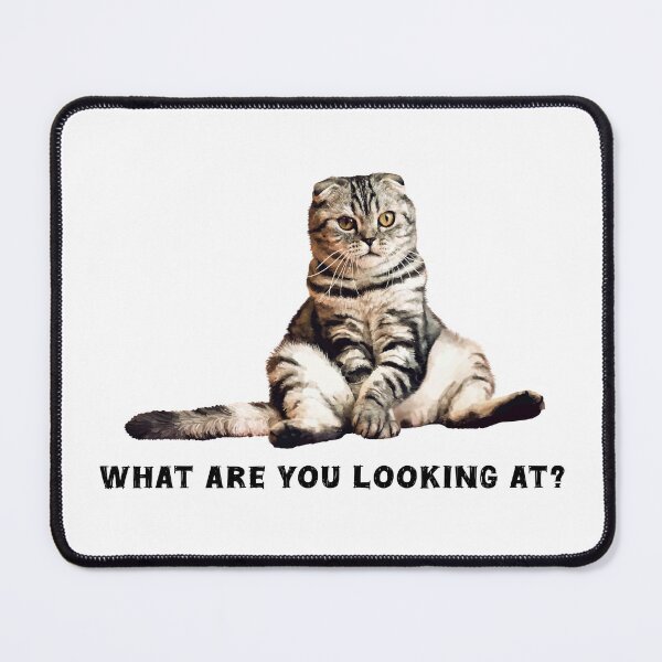 Item preview, Moody silver tabby cat. Proceeds go to animal charities rescues designed and sold by AnimalFriends1.
