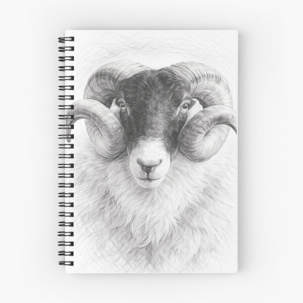 Item preview, Swaledale Ram Pencil Sketch | Black and White Sheep Portrait | Detailed Farm Animal Drawing Art Print designed and sold by Leon Woods Pencil Art.