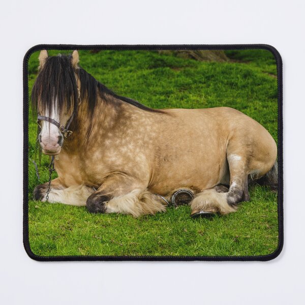 Item preview, Head of Dappled Horse designed and sold by Dalyndigital Photography.