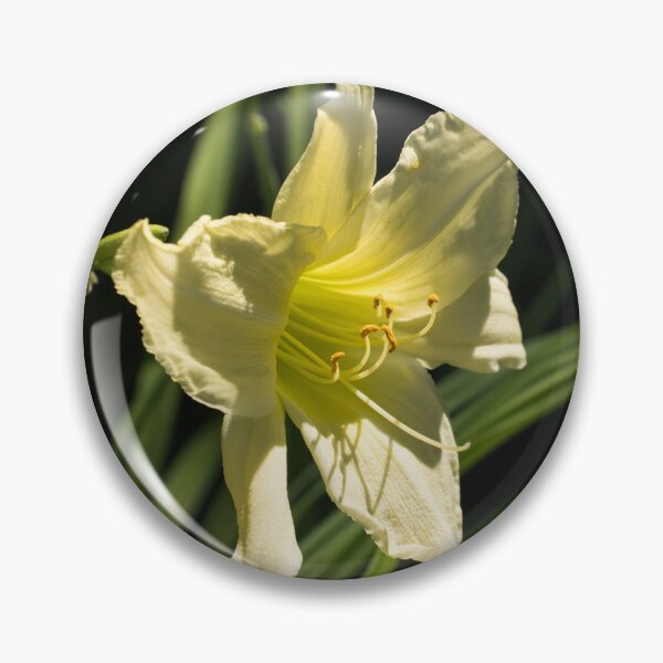 Item preview, Sunlit Lemony Yellow Daylily Blossom designed and sold by Georgia Mizuleva.