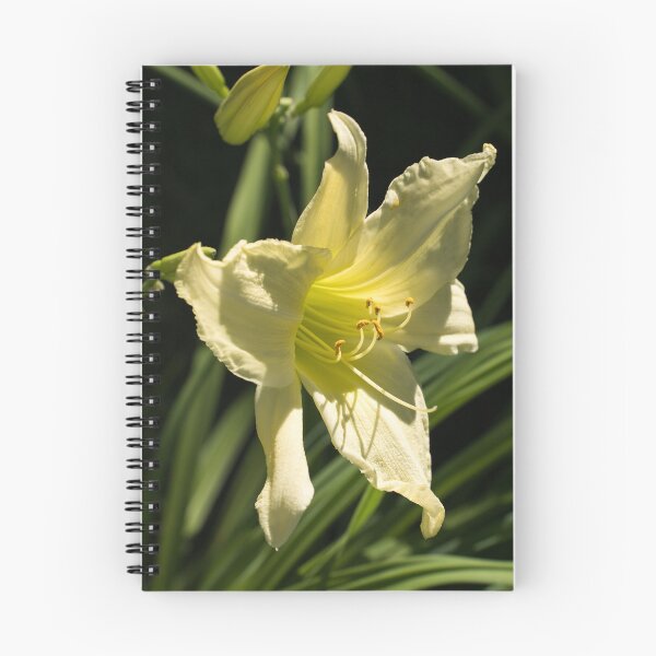 Item preview, Sunlit Lemony Yellow Daylily Blossom designed and sold by Georgia Mizuleva.