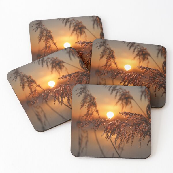 Item preview, Reeds in the sunlight of a sunrise designed and sold by Pietschi2022.