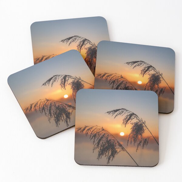Item preview, Reeds by the lake designed and sold by Pietschi2022.