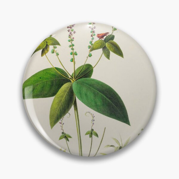 Item preview, Cottagecore designed and sold by LEANBOY.