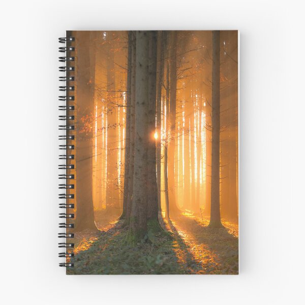 Item preview, Forest clearing with magical sunbeams designed and sold by Pietschi2022.