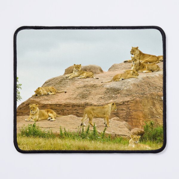 Item preview, Lion Rock designed and sold by sicowboy.