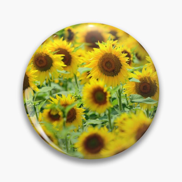 Artikelvorschau, Vibrant Sunflower Field Bright Yellow Floral Pattern Summer Nature Aesthetic entworfen und verkauft von onubi.