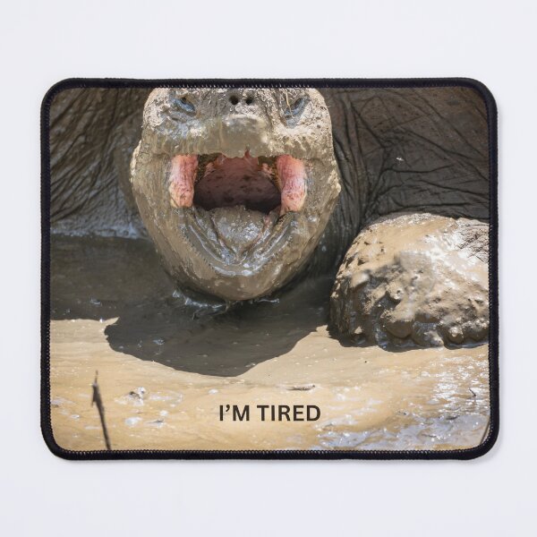 Item preview, Im Tired Tortoise Meme Funny Exhausted Turtle Sticker Relatable Tired Animal Humor Gift designed and sold by WildFrameNature.