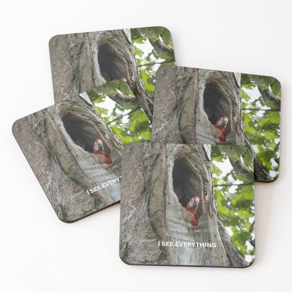 Item preview, I See Everything Parrot Meme Funny Spy Bird Sticker Scarlet Macaw Tree Humor Gift designed and sold by WildFrameNature.
