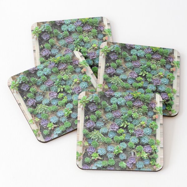Item preview, Lush Green and Purple Echeveria Succulent Wall designed and sold by pinkal.