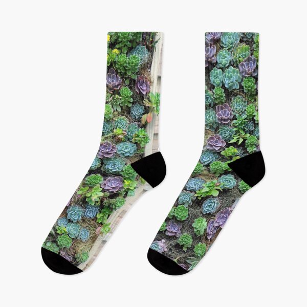 Item preview, Lush Green and Purple Echeveria Succulent Wall designed and sold by pinkal.