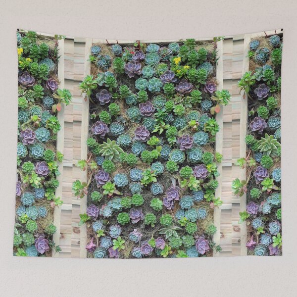 Item preview, Lush Green and Purple Echeveria Succulent Wall designed and sold by pinkal.