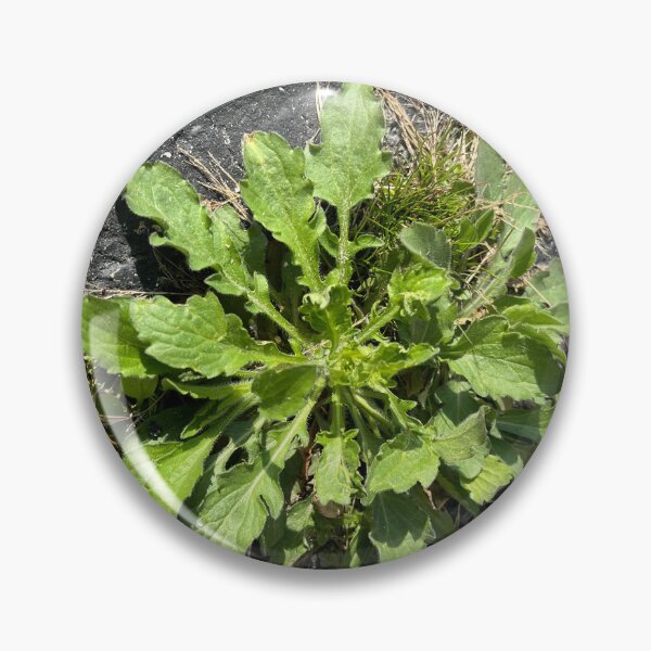 Item preview, Nature Photography  designed and sold by GraphicShinies.