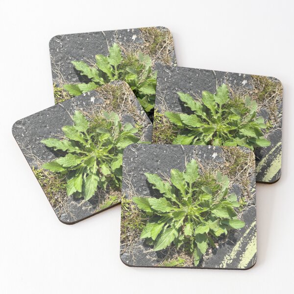 Item preview, Nature Photography  designed and sold by GraphicShinies.